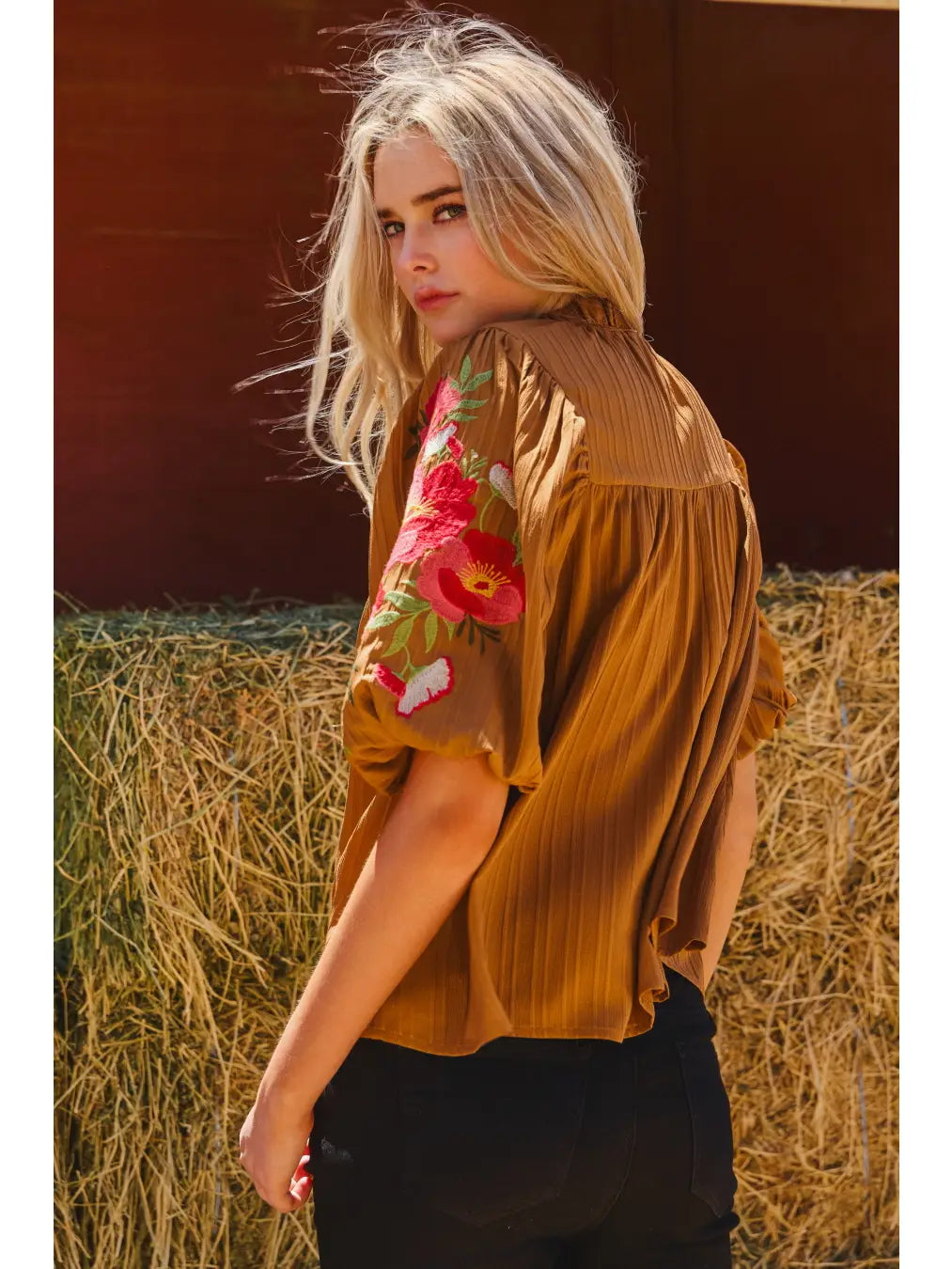 Embroidered Mock Neck Balloon Sleeve Blouse