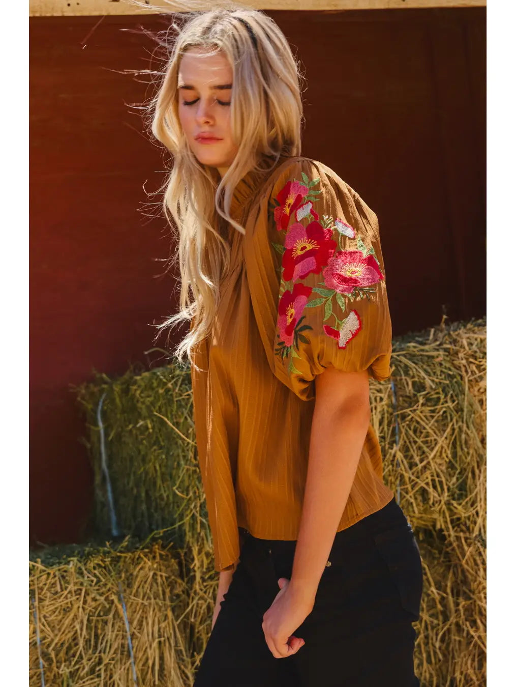 Embroidered Mock Neck Balloon Sleeve Blouse