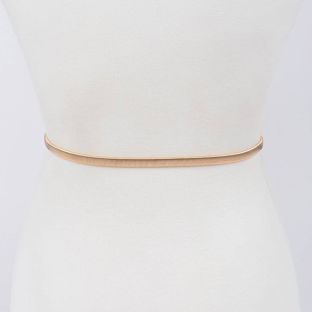 Double Leaf Closure Metal Belt