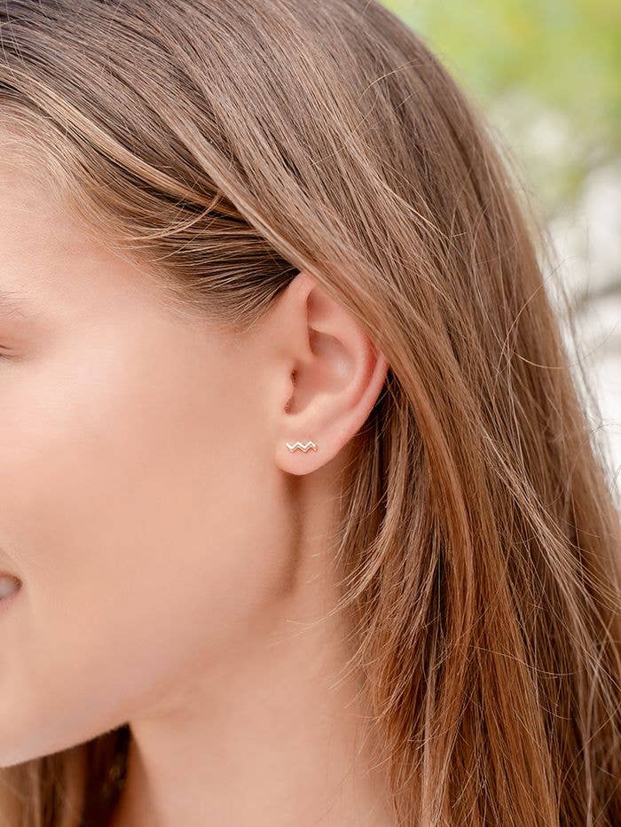 Aquarius Zodiac Earrings