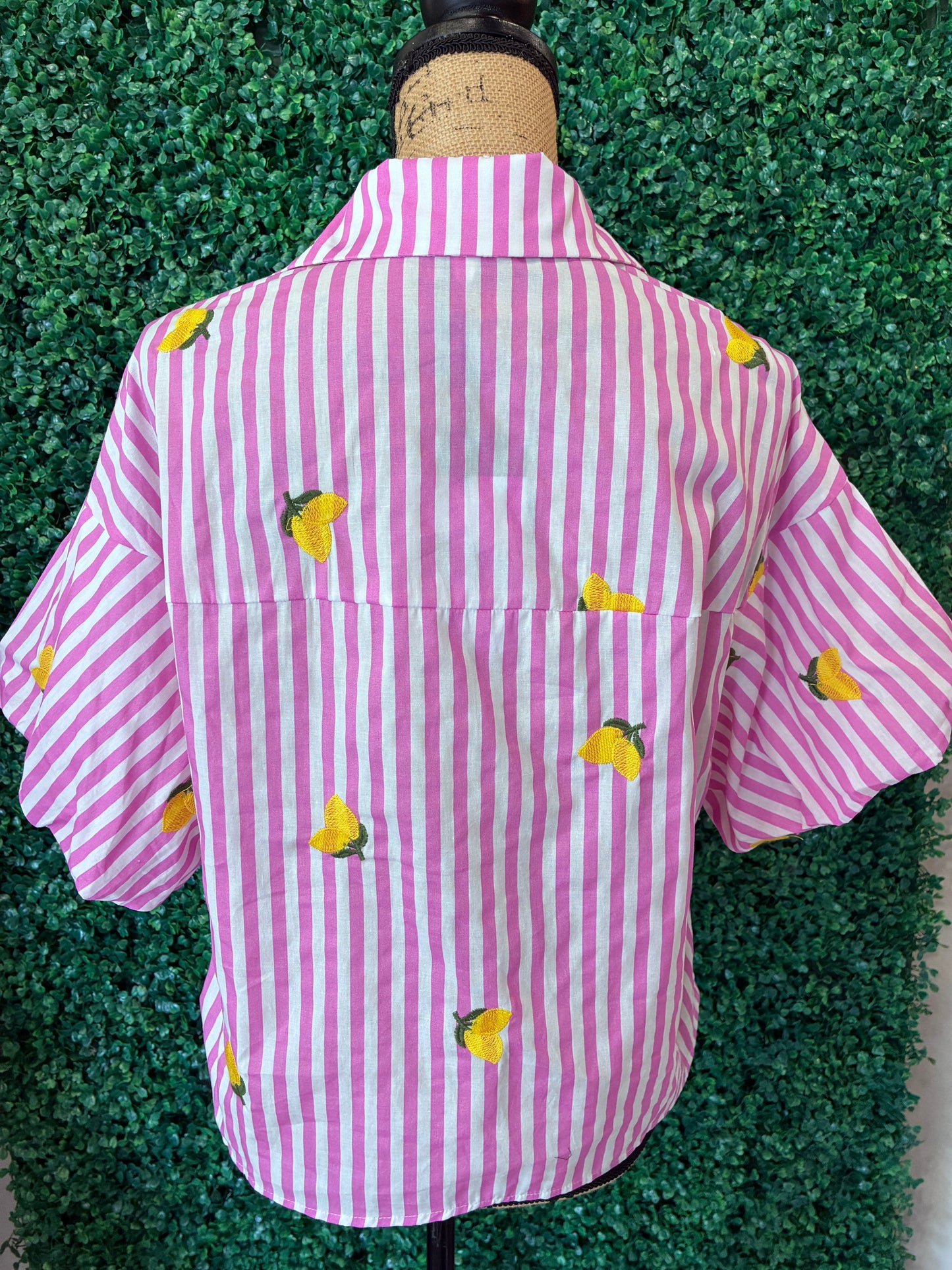 Pink Striped Puff Sleeve Lemon Short Sleeve Button Down Top (S to 3X)