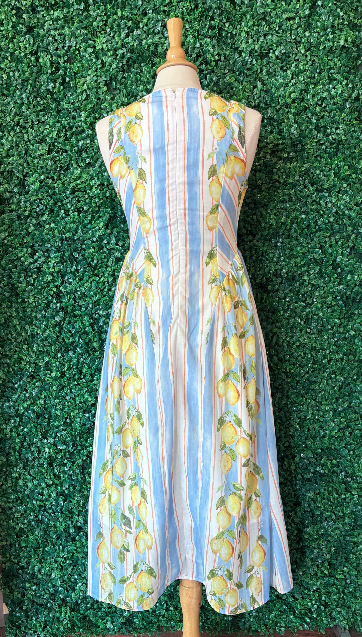 A-Line Basque Waist Lemon Dress (S to 3X)