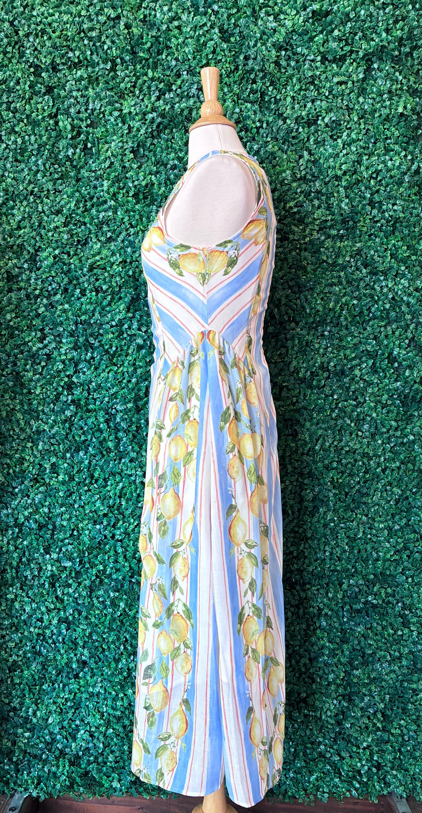A-Line Basque Waist Lemon Dress (S to 3X)