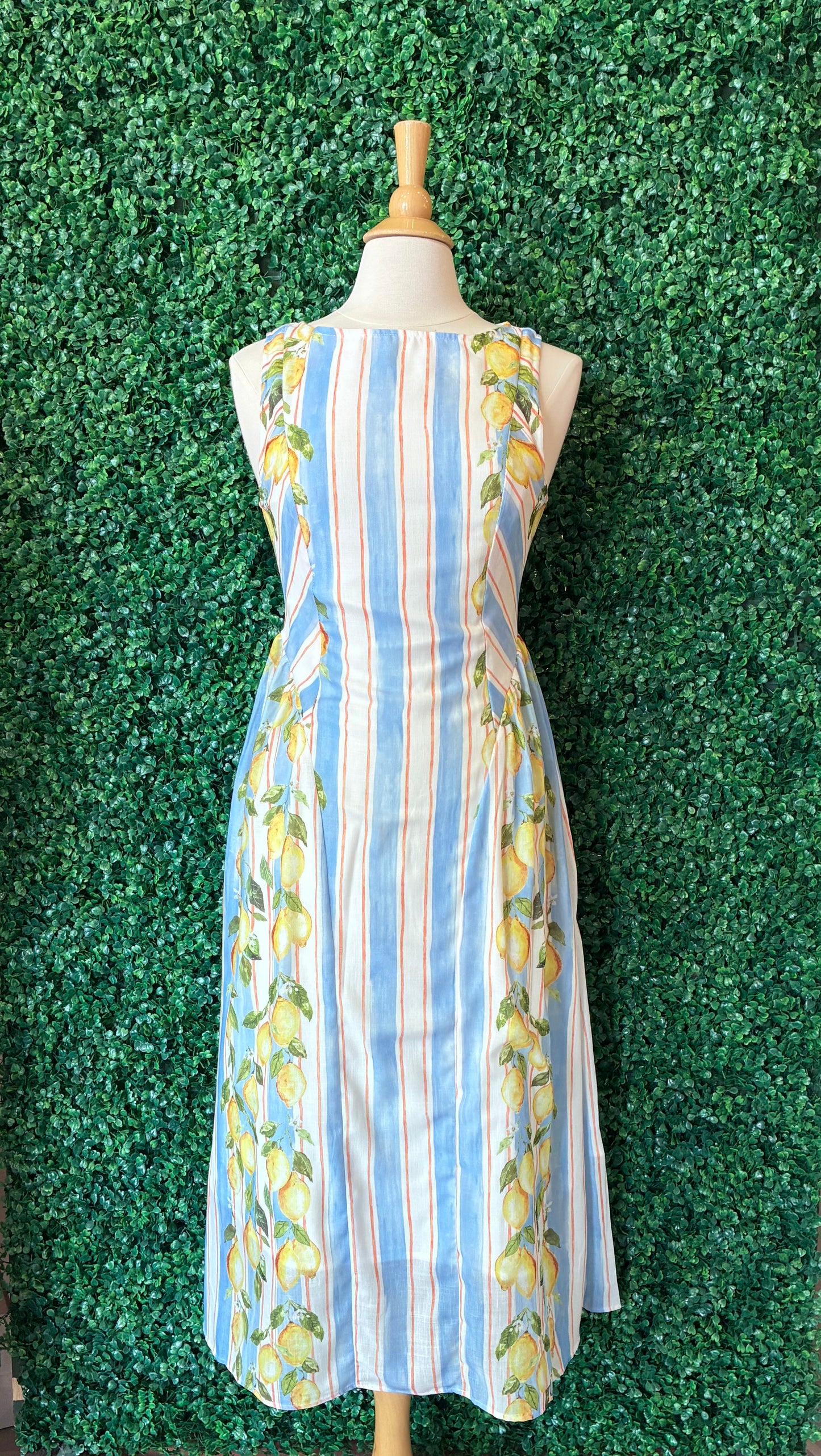 A-Line Basque Waist Lemon Dress (S to 3X)