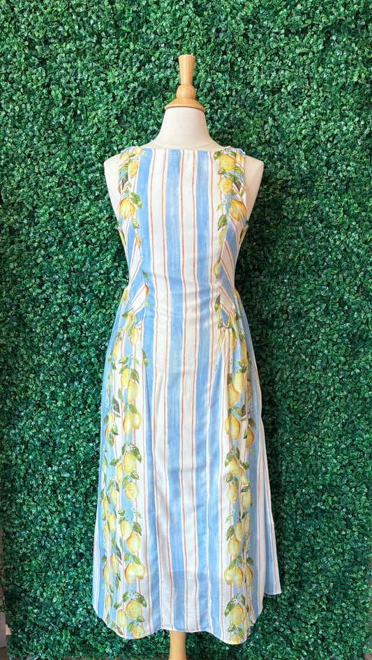 A-Line Basque Waist Lemon Dress (S to 3X)