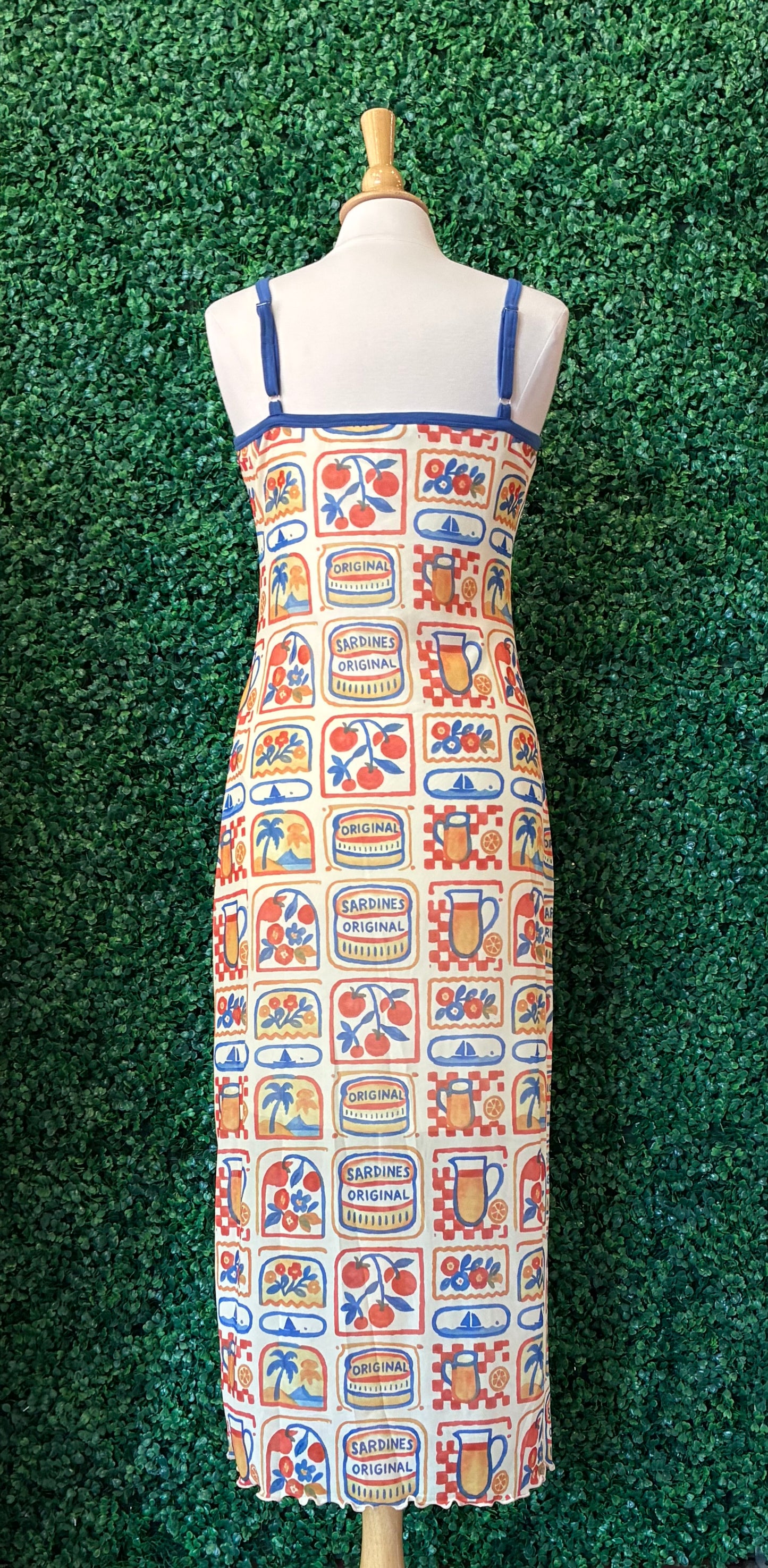 Italia Block Mesh Dress (S to 3X)
